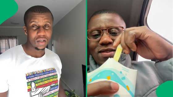"Need to try this": Man has SA drooling after giving review of the new Speckled Eggs McFlurry