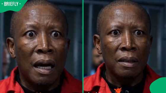 "EFF colours will turn orange": Mzansi in stitches after AI clip shows Julius Malema behind bars