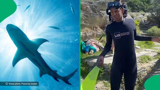 "It doesn't belong here": Tsitsikama swimmers startled by shark, Mzansi cracks jokes