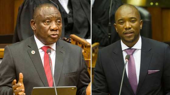 Mmusi Maimane weighs in on Boris Johnson's registration, says Cyril Ramaphosa must be accountable