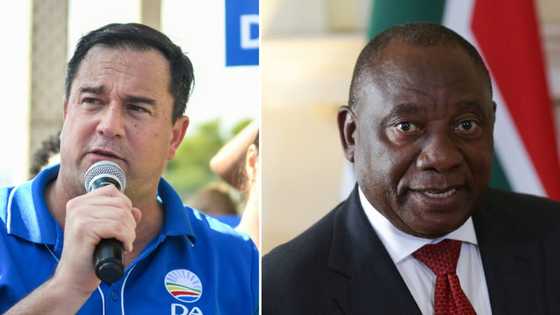 DA's John Steenhuisen wants the FBI to investigate Cyril Ramaphosa after $4 million was stolen from his farm
