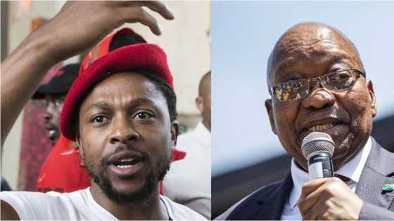 EFF's Mbuyiseni Ndlozi calls for Zuma's arrest for defying ConCourt