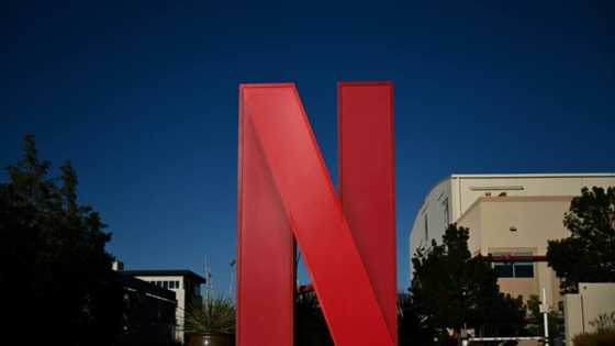 Netflix gains subscribers with ads and password crackdown