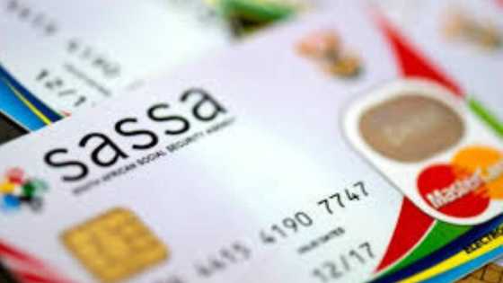 Unemployed caregivers without IDs can apply for the R350 SRD grant