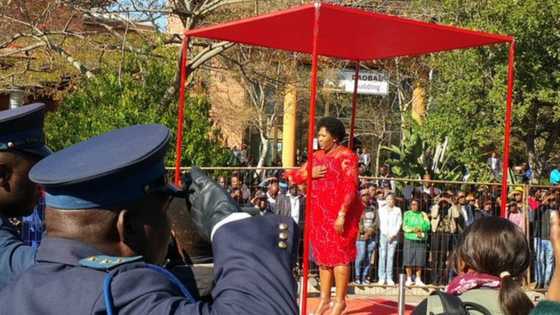 Maskless Premier: EFF joins the fray, lays charges amid continued saga