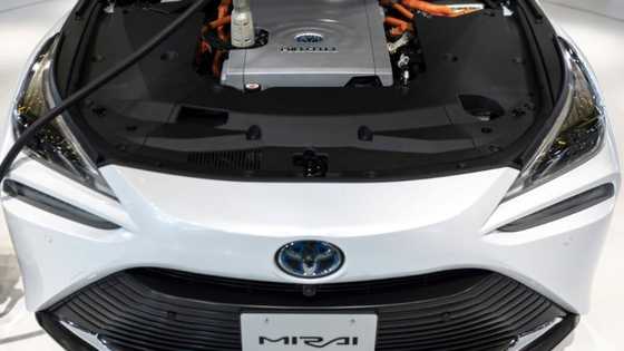 Spain bets on green hydrogen in clean energy push