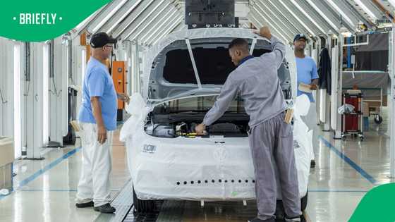 Make or break year for Volkswagen South Africa amid growing industry concerns