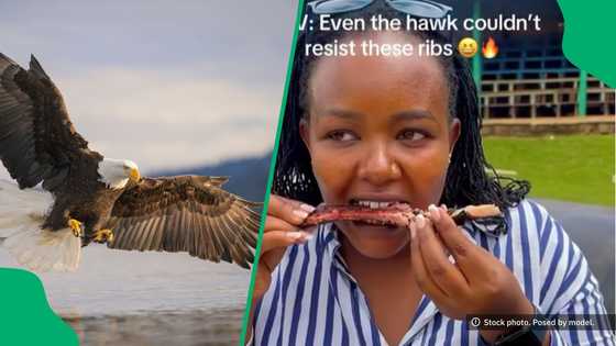 "Just like that, the meat was gone": Woman's braai moment ruined as eagle steals her food