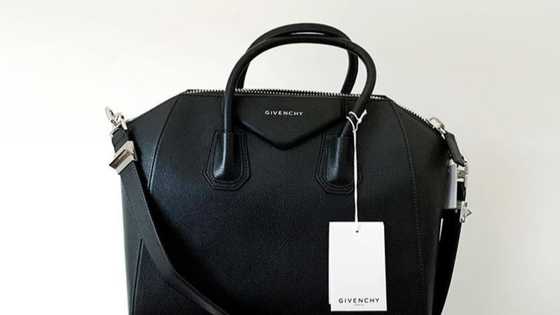 The ultimate guide on top luxury handbag brands