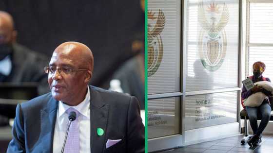 Minister Aaron Motsoaledi asks SIU to probe fraud at Home Affairs