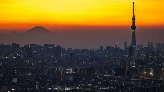 Japan inflation hits four percent in December