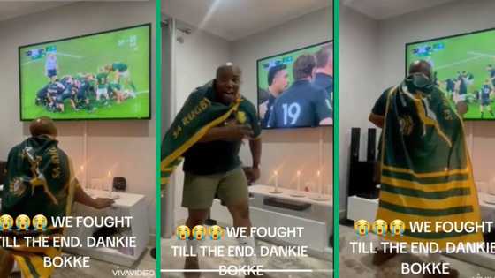 Viral Afrikaans-speaking Springboks fan lights candles and cheers as he watches the RWC final