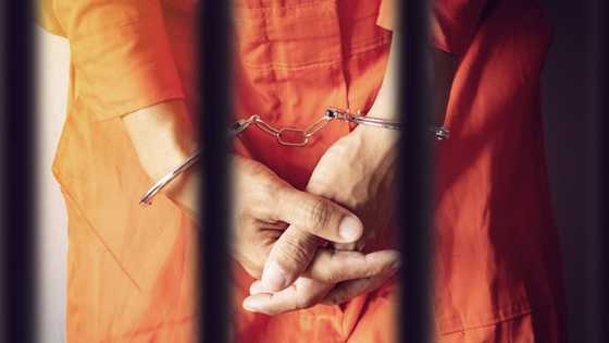 Gun-wielding Mpumalanga man gets R3K bail after terrorising neighbours, cops discover 9 guns and over 600 bullets