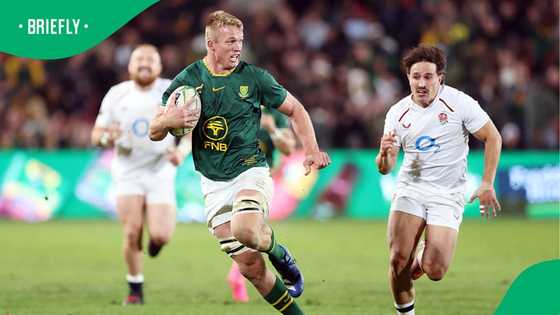 Du Toit pulls no punches after Springboks suffer painful All Blacks defeat