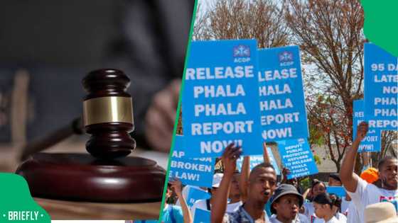 Constitutional court to deliver PhalaPhala judgment within a month