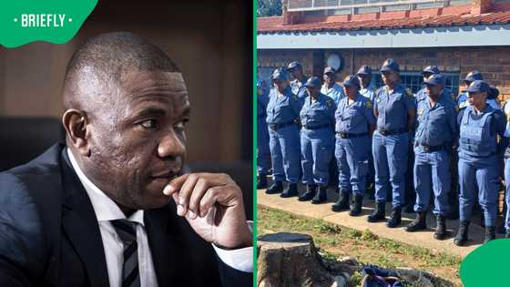 Ad Hoc Committee: Brown Mogotsi says Mkhwanazi's suspects denied fair trial