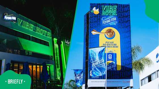 The FIFA World Cup 2026™ Brought the Football. Flying Fish Brought the Vibe.