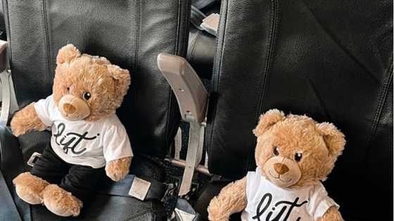 Build-A-Bear South Africa conduct world’s first ever Heart ceremony at 36,000ft
