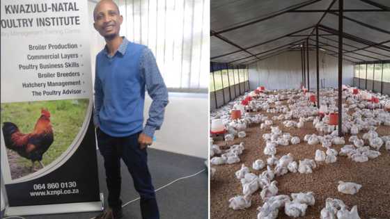 Man drops R30k job to farm and now earns R3k a month but is happy, SA peeps dig the choice and relate