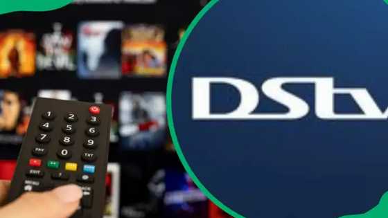 Full list of DStv Compact Plus channels and the updated price