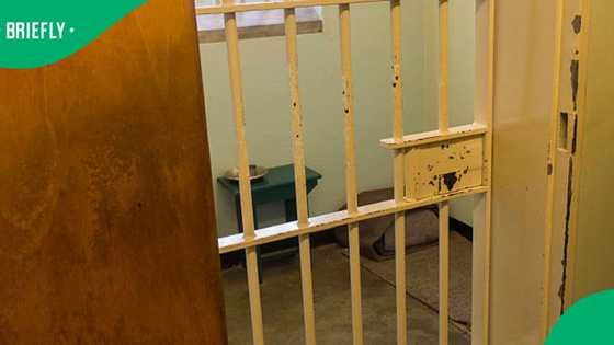 Two men sentenced to 15 years each for rhino poaching in SA