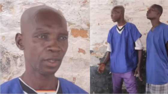 Pastor, 61, who was jailed 16 months for insulting his family head gets released