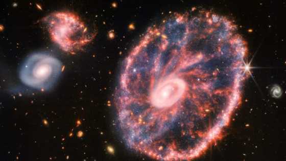 Webb telescope captures colourful Cartwheel Galaxy