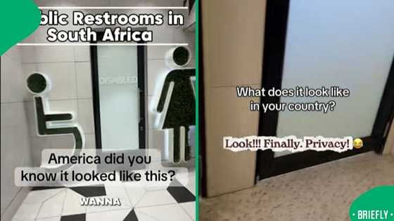 South African woman shocked by lack of privacy in US public bathrooms