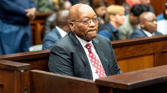 JZ Foundation condemns Jacob Zuma parole appeal, says it undermines the former president's integrity