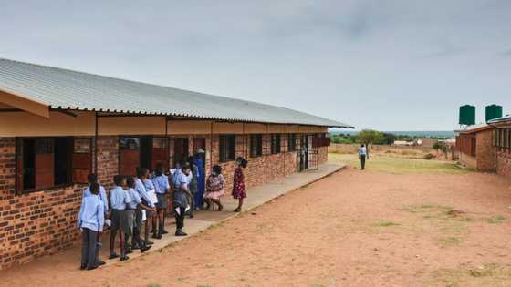 "Doesn't make sense": South Africans raise concern as the KZN Education Department announces rural school closures