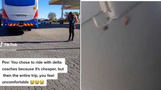 With Delta, you get what you pay for: Mzansi’s skins crawls as woman shows roach infested bus