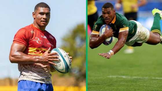 RWC: Damian Willemse wears kit from Springboks and New Zealand final as trophy tour kicks off