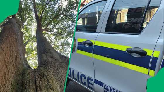 North West man hangs himself after allegedly stabbing girlfriend to death