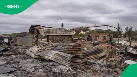 Foreign national tries to resist when City of Johannesburg demolishes structure