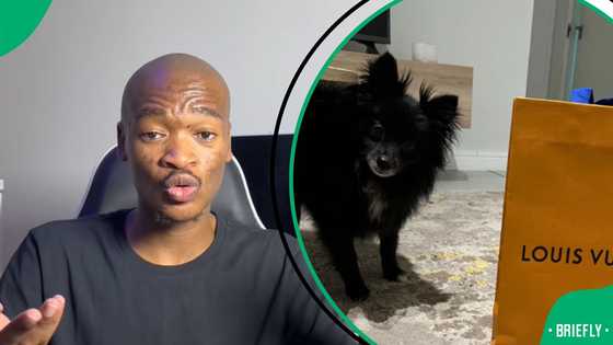 “Last week FNB was robbed”: Man an buys dog R6K Louis Vuitton birthday gift, SA amazed
