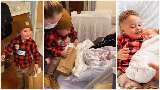 Adorable video shows toddler meeting his newborn baby brother in hospital, he laughs happily