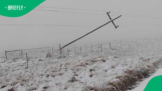Eskom warns of extended power outages as snow blankets parts of Eastern Cape