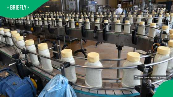 South Africa updated mayonnaise rules and banned misleading mayo labelling claims