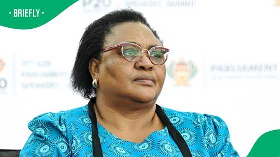 Opposition parties demand that Thoko Didiza recuse herself from Impeachment Committee proceedings