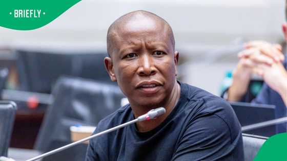 EFF slams US Ambassador Brent Bozell's remarks as threat to South Africa's sovereignty