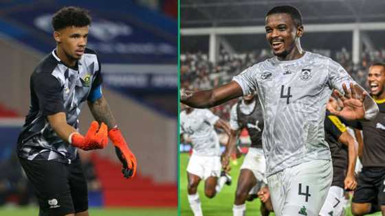 AFCON 2023: Bafana Bafana's Teboho Mokoena and Ronwen Williams named in the Team of the Tournament