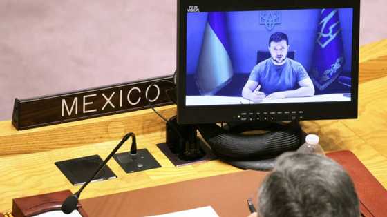 UN 'committed' to Ukraine 'integrity' within 'recognized' borders