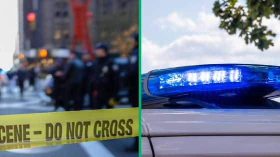 Police shootout with alleged blue-light gang on the N3 leaves 3 dead
