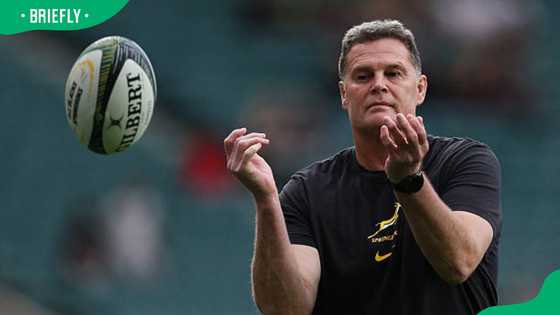 Springboks hit by fresh injury as Rassie Erasmus makes key squad changes before England Test