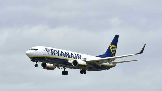 Ryanair flies back into annual profit of 1.4 bn euros