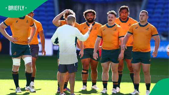 Eddie Jones blasts rising red cards, urges World Rugby to act