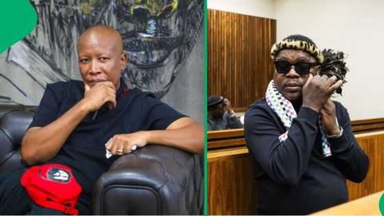 Ngizwe Mchunu apologises to Julius Malema after tribalistic remarks, Video sparks debate
