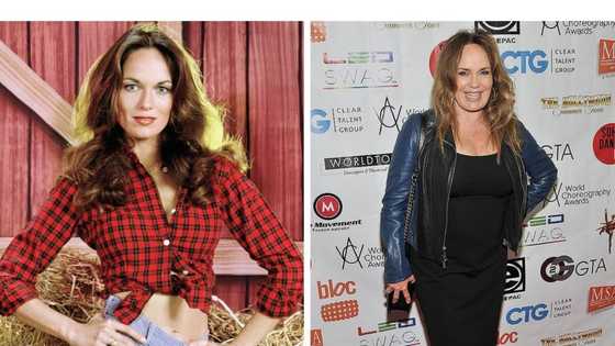 Catherine Bach's age, children, spouse, movies, pics, worth