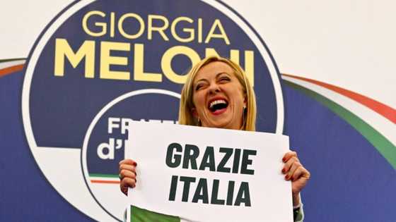 Limits to EU hard-right front around Meloni: analysts