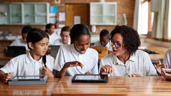 List of all colleges in cape town in 2025 choose the best college